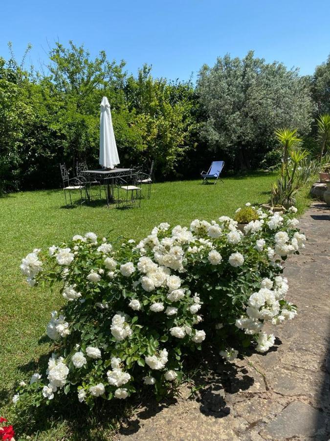 Casa Marilu Villa Santa Maria di Castellabate Bagian luar foto